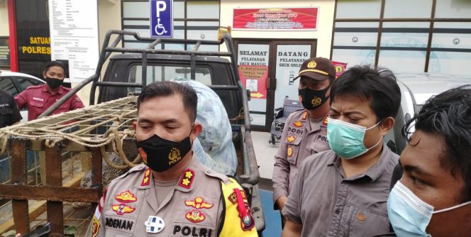 
					Ket Foto: Desa Parit Benut, Kecamatan Meral, Kabupaten Karimun langsung diserahkan Kapolres Karimun AKBP Muhammad Adenan S,IK kepada Balai Konservasi Sumber Daya Alam (KSDA), Kepri. (Infoindependen,com/(James N).