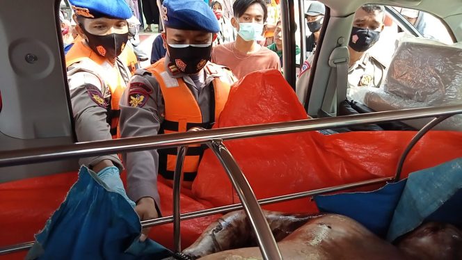 
					Satu Korban SB Tiga Saudara Ditemukan Meninggal Mengapung Di Laut