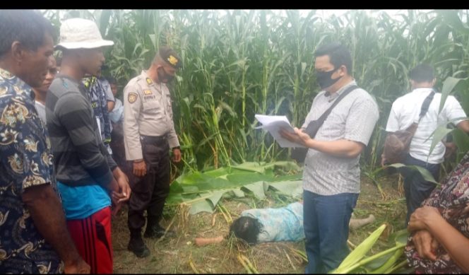 
					Boru Pardede Seharian Tak Pulang, Tewas Ditemukan Warga Diperladangan Milik Warga