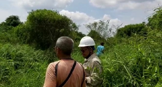 
					PTPN V Sampai Saat Ini Belum Serahkan Kebun Sawit KKPA Ke Kopsa-M