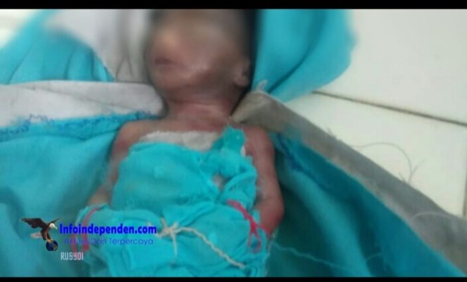 
					Penemuan Bayi di Bawah Jembatan Sungai Denai