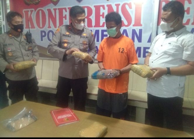 
					Polsek Medan Area Ringkus Bandar Ganja