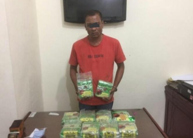 
					Bawa 10 Kg Sabu, Kurir Narkoba Diamankan Direktorat Resnarkoba Sumatera Utara