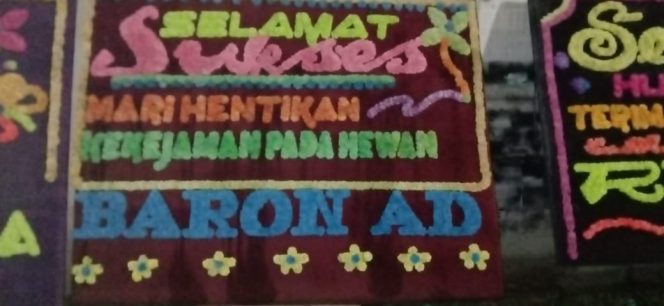 
					Penjagal Kucing di Vonis 2 Tahun 6 Bulan, Polsek Medan Area Dapat Karangan Bunga Dari Pencinta hewan