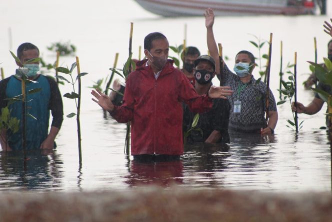 
					Presiden RI Jokowi Datang Ke Batam Untuk Menanam Bibit Mangrove Di Pantai Setokok Batam