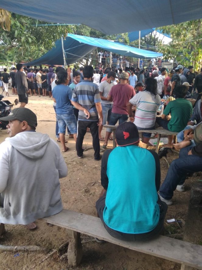 
					Judi Sabung Ayam Di Kaltara Resahkan Warga