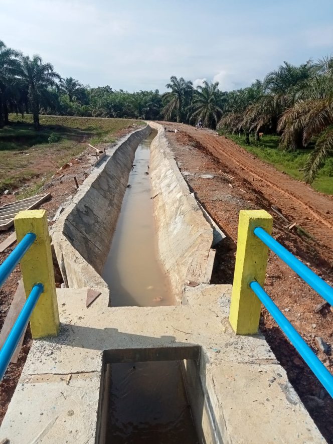 
					Diduga Pembangunan Jaringan Sekunder Dan Tersier DI, Irigasi Osaka Bermasalah
