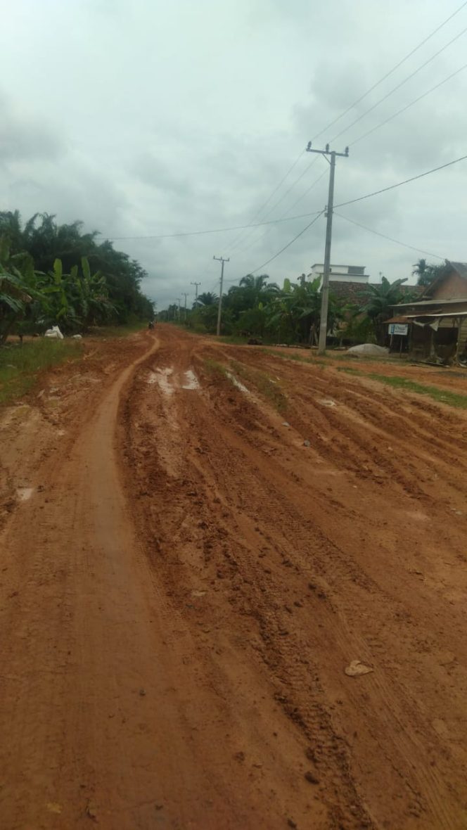 
					Pemerintah Kabupaten Banyuasin Buta Warna, Akses Jalan Antara Penghubung Kecamatan Dan Kabupaten