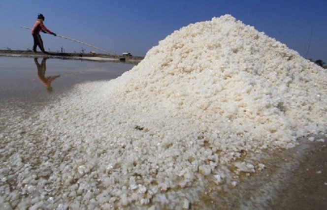 
					Kejagung Periksa 1 Orang Saksi Terkait Perkara Impor Garam Industri