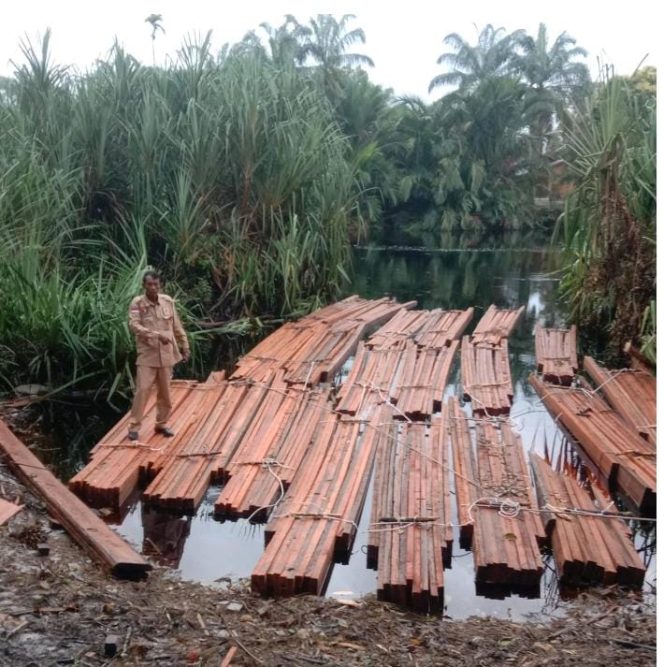 
					Pemain Illegal Logging Di Siak Kecil Diduga Kebal Hukum