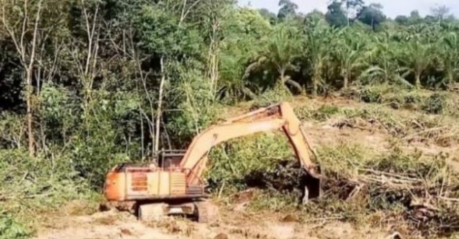 
					Mafia Tanah Di Kabupaten Indragiri Hulu Diduga Kebal Hukum