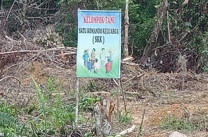 
					Untuk Kepentingan Oknum, Diduga Lakukan Alih Pungsi HPT Dan HL Menjadi Perkebunan Kelapa Sawit