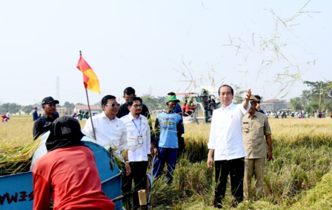 
					Ket foto: Presiden Joko Widodo mengikuti panen raya padi di Desa Ciasem Girang, Kabupaten Subang, Provinsi Jawa Barat, pada Minggu pagi, 8 Oktober 2023. Foto: BPMI Setpres/Rusman.