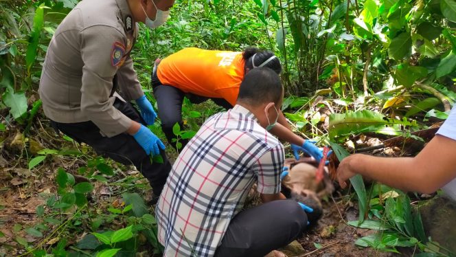 
					Geger, Penemuan Mayat Perempuan Di Kebun Warga Nagari Cupak