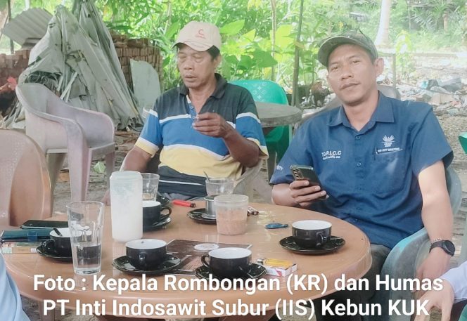 
					Diduga PT. Inti Indosawit Subur (IIS) Pekerjakan Orang Tanpa Hak dan Jaminan Keselamatan