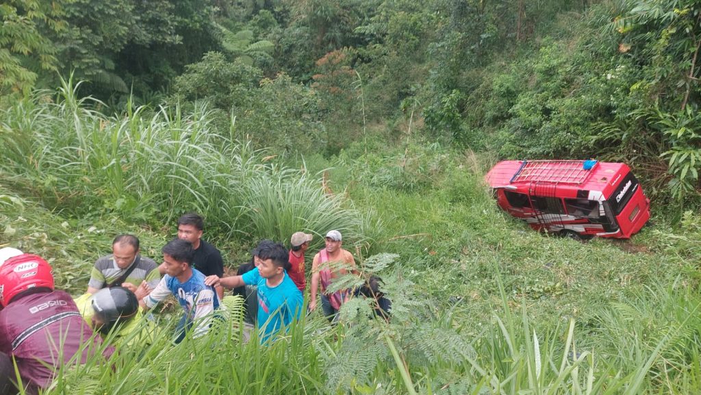terjun