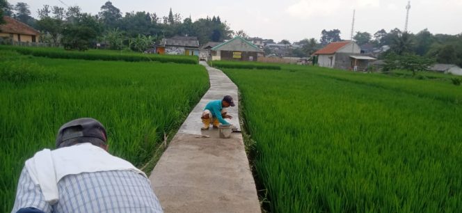 
					Perbaiki Jalan Supaya Lebih Nyaman, Ketua RT Kp. Sawah Lega Wujudkan Keinginan Warganya