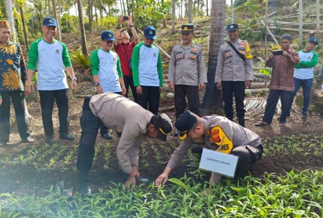 
					Foto: Kapolres Sabang AKBP Erwan, S.H., M.H., ikut menanam tanaman pohon cengkeh.