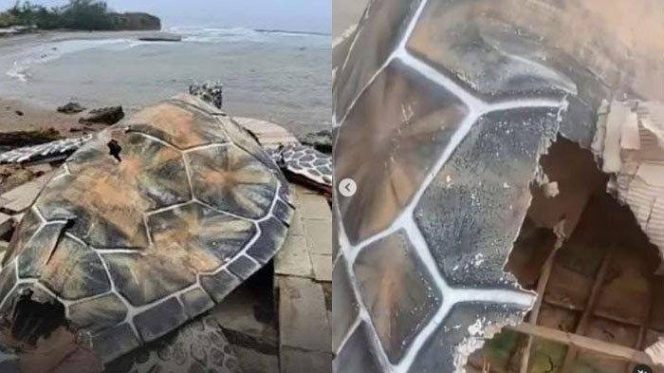 
					Viral Patung Penyu Kardus, LSM-RIB Sukabumi akan Laporkan Dugaan Mark-up Proyek Alun-Alun Gadobangkong ke Kejagung