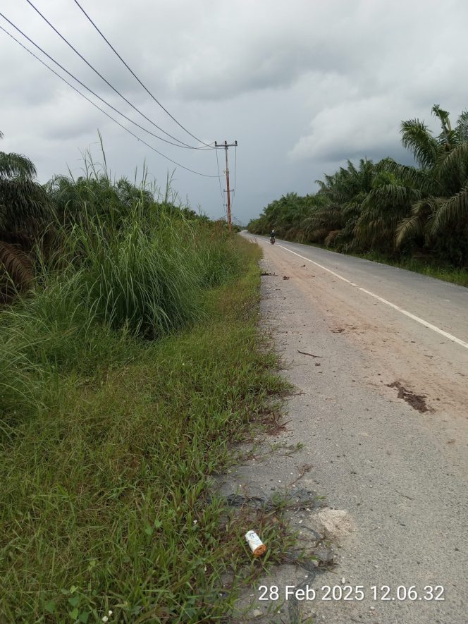 
					Peningkatan Jalan Kampung Muara Bungkal – Kampung Bencah Umbai Tidak Memiliki Bahu Jalan, Dan Hancurkan Jalan Lama