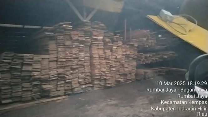 
					Diduga Pengusaha Ilegal Logging Di Kabupaten Indragiri Hilir Kebal Hukum