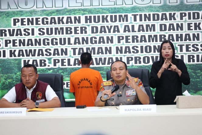 
					Polda Riau Tangkap Penjual Lahan di Hutan Tesso Nilo, Ditreskrimsus : Telah Menetapkan 1 Tersangka dan Tidak Menutup Kemungkinan Jumlah Tersangaka Bertambah. 